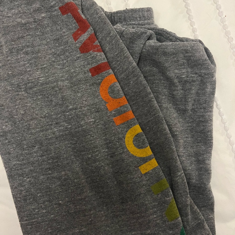 Size medium Aviator Nation sweatpants (Aspen, CO).